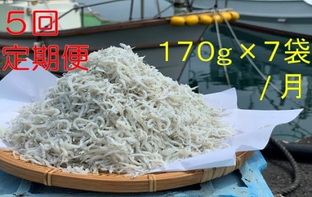 【5回定期便】岡本水産加工のちりめんじゃこ（毎回170ｇ×7袋お届け）【J00030】