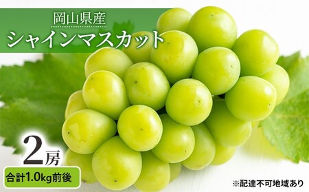 ぶどう 2026年 先行予約 シャインマスカット 晴王 2房 合計1.0kg前後 岡山県産 シャインマスカット