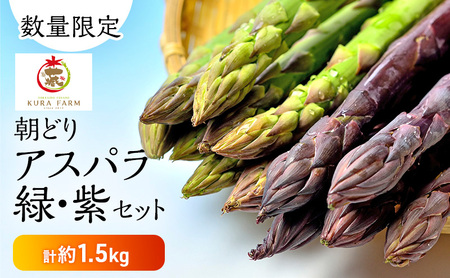 【2027年5月より発送】北海道 富良野市産 アスパラ 緑・紫(サイズ混合)  計約1.5kg セット 食べ比べ 朝どり 露地 アスパラガス 詰め合わせ 野菜 新鮮 数量限定 先着順【藏ファーム】