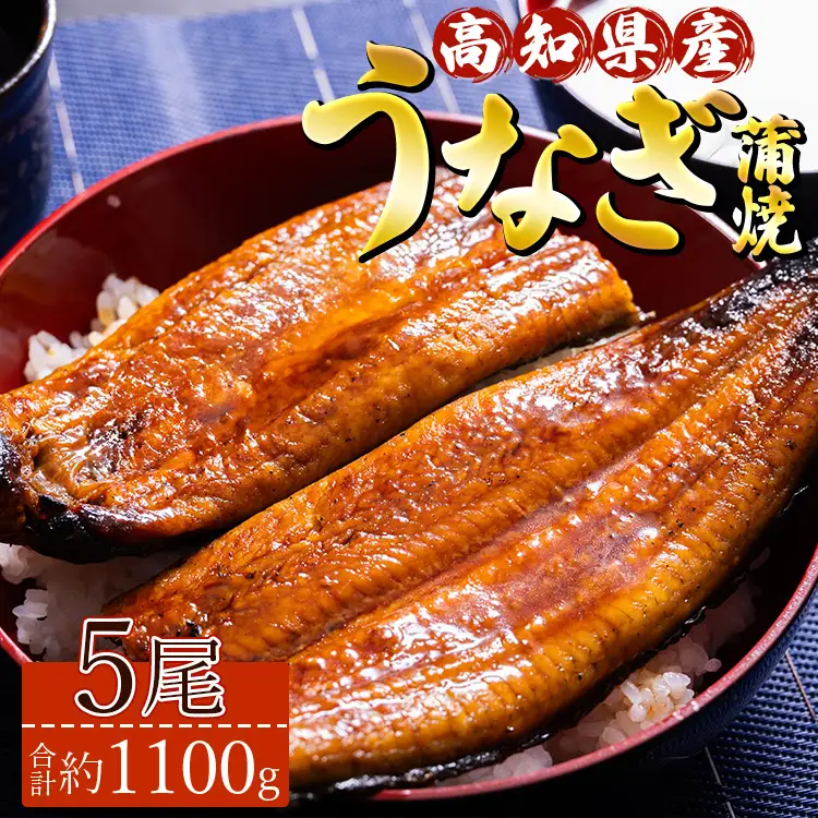 高知県産養殖うなぎ蒲焼 5尾(合計約1100g) - タレ付き たれ 丑の日 鰻 ウナギ かばやき うな丼 うな重 送料無料 須崎市道の駅 ギフト 贈答 贈り物 高知県 香南市 冷凍 ss-0036
