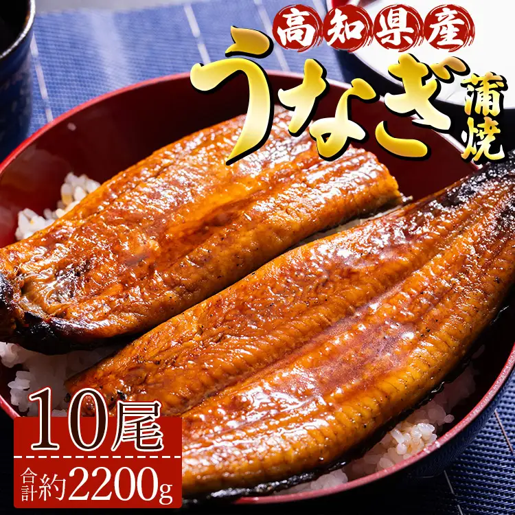 【 蒲焼き 】 うなぎ 10尾 計2200ｇ 鰻 ＜ 高知県 香南市 ＞ 蒲焼き ss-0037