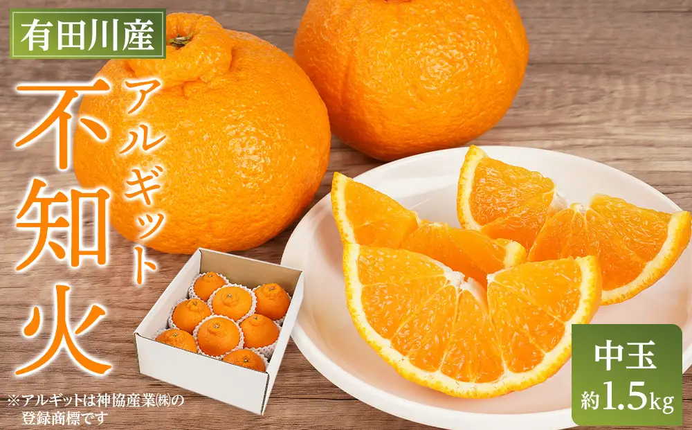 アルギット 不知火 約1.5kg 中玉 サイズ（7～8玉）しらぬい