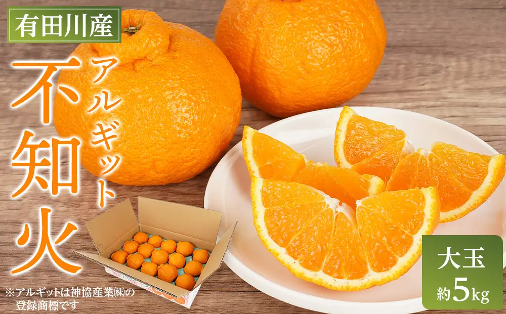 アルギット 不知火 約5kg 大玉 サイズ（15～18玉）不知火