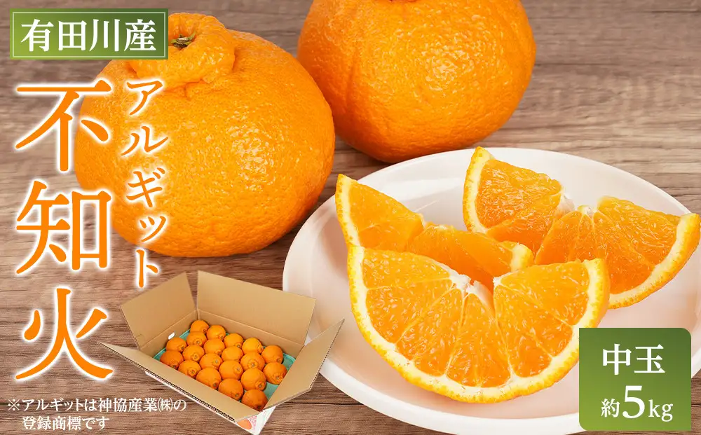 アルギット 不知火 約5kg 中玉 サイズ（20～22玉）不知火