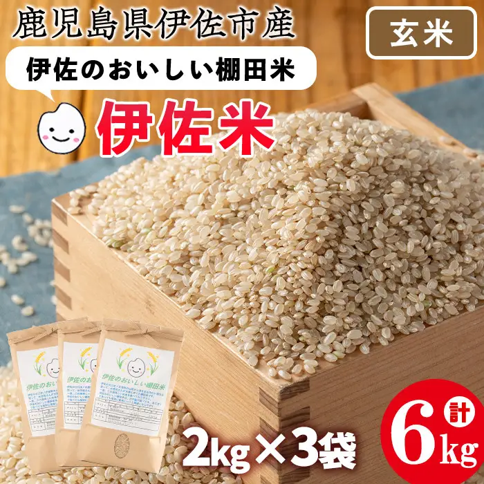 isa533 令和5年産 伊佐のおいしい棚田米〈玄米〉 ヒノヒカリ(計6kg・2kg×3袋) 国産 玄米 伊佐米 お米 米 ごはん ご飯 ひのひかり【薩摩美食倶楽部】