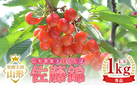 【2027年産 先行予約】山形県産さくらんぼ 佐藤錦 秀品 L玉 1kg (500g×2パック) ギフト箱入り FSY-2199
