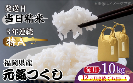 【全12回定期便】福岡県産【特A】評価のお米「元気つくし」5kg×2袋 [10kg] [白米] [ABDF117]