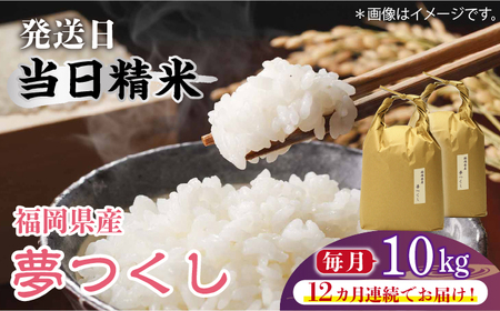 【全12回定期便】福岡の食卓ではおなじみの人気のお米「夢つくし」5kg×2袋 [10kg] [白米] [ABDF123]