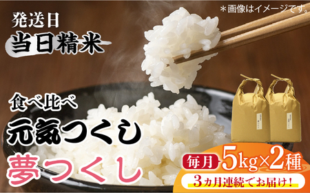 【全3回定期便】福岡県産【特A米】元気つくし【A米】夢つくしの食べ比べ 各5kg×2袋 [10kg] [白米] [ABDF124]