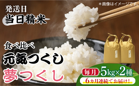 【全6回定期便】福岡県産【特A米】元気つくし【A米】夢つくしの食べ比べ 各5kg×2袋 [10kg] [白米] [ABDF125]