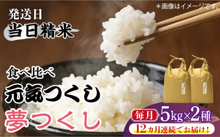 【全12回定期便】福岡県産【特A米】元気つくし【A米】夢つくしの食べ比べ 各5kg×2袋 [10kg] [白米] [ABDF126]