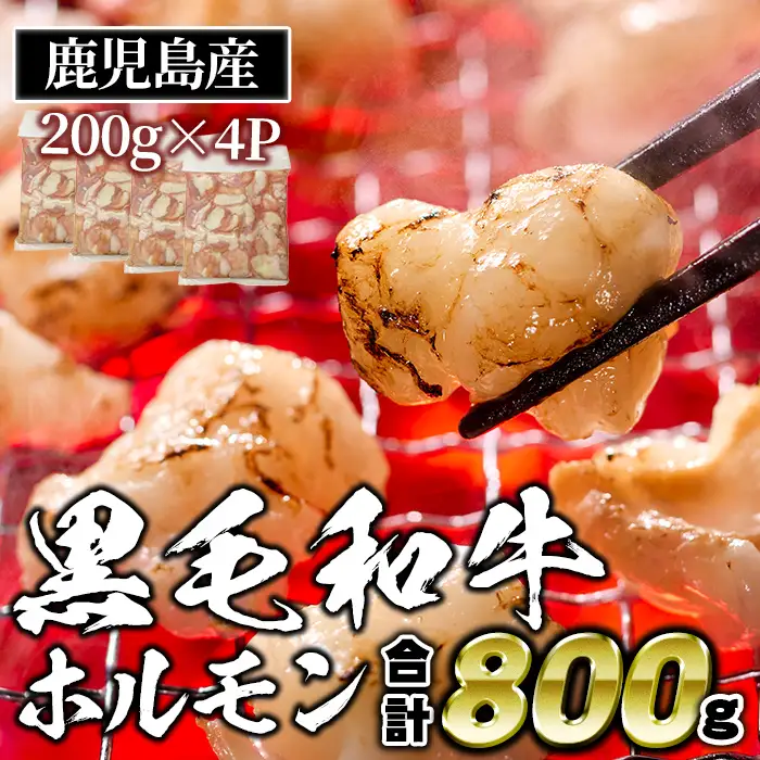 isa530 ≪毎月数量限定≫鹿児島産黒毛和牛ホルモン(合計800g・200g×4P)国産 牛 和牛 小腸 小分け 真空パック もつ鍋 焼肉 煮込み BBQ バーベキュー アウトドア 冷凍 冷凍便【財宝】
