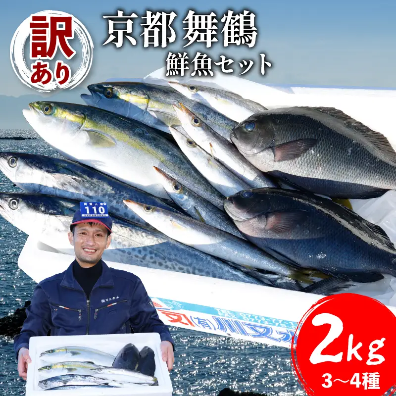 訳あり 鮮魚 詰め合わせ セット 3～4種 約2kg