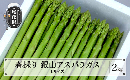 春採り 銀山アスパラガス Lサイズ 2kg 令和8年産 nk-vga1x2