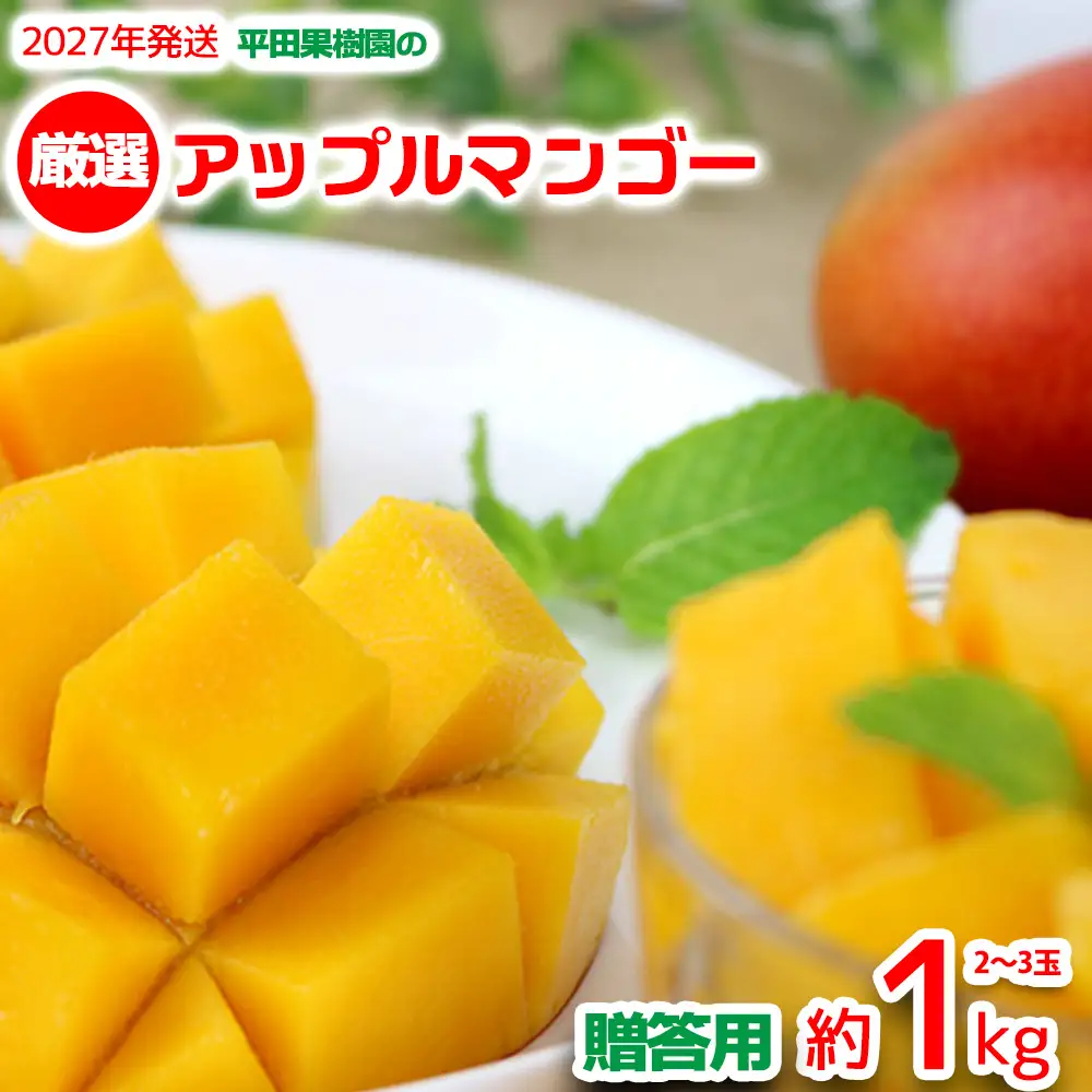 【2027年発送】平田果樹園の厳選アップルマンゴー贈答用 約1kg（2～3玉）