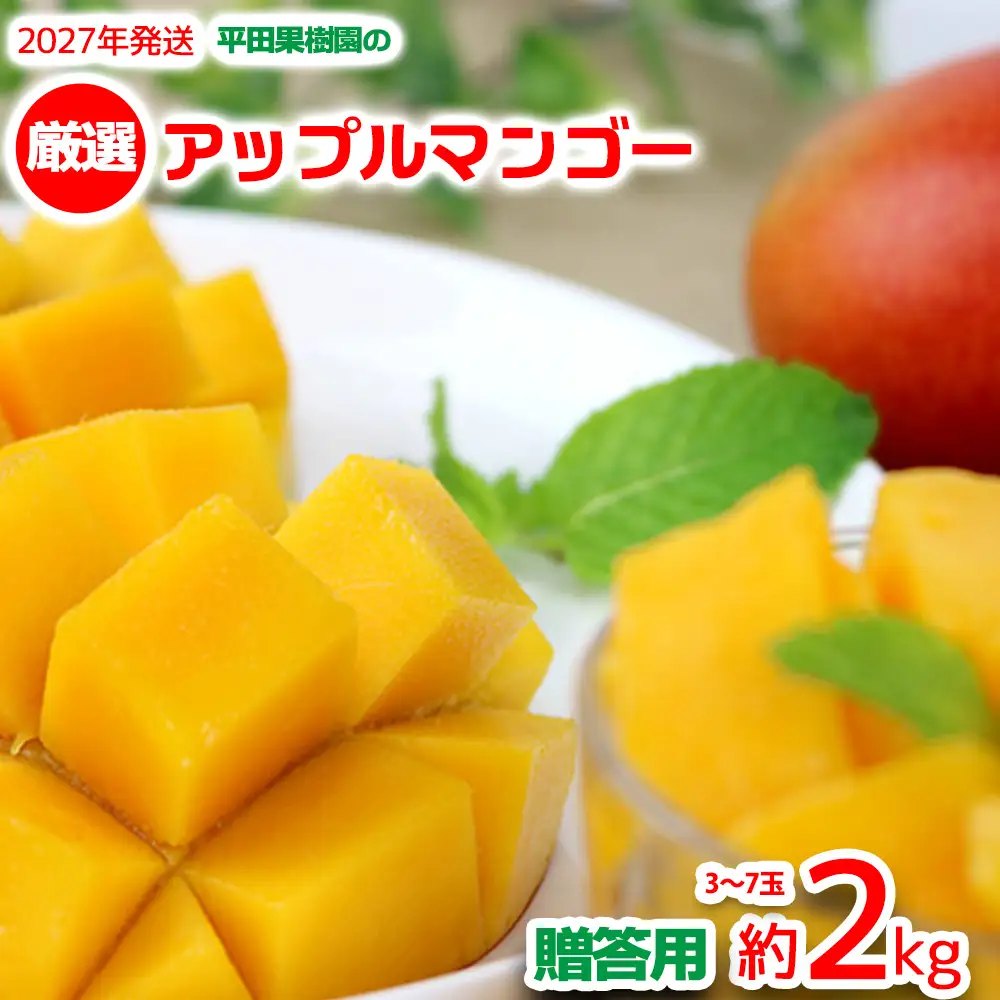 【2027年発送】平田果樹園の厳選アップルマンゴー贈答用 約2kg（3玉～7玉）