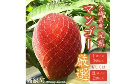 【先行予約】＜宮崎県産 完熟マンゴー （Lサイズ 3個 もしくは 2Lサイズ 2個）＞ 2026年4月上旬～9月上旬迄に順次出荷【c298_my_x7】 果物 フルーツ マンゴー くだもの 特産品 完熟 国産 宮崎県 高鍋町
