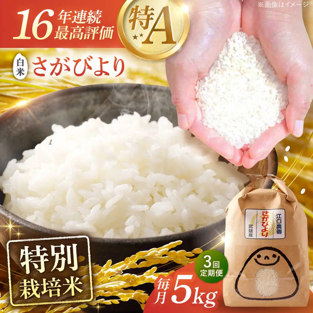 【3回定期便】 さがびより 白米 5kg 米定期便 [UBF025]