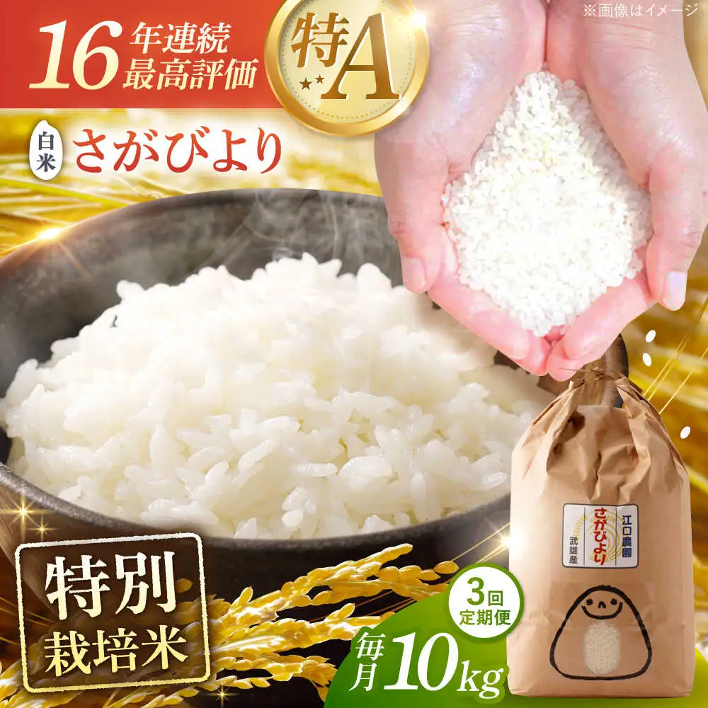 【3回定期便】 さがびより 白米 10kg 米定期便 [UBF027]
