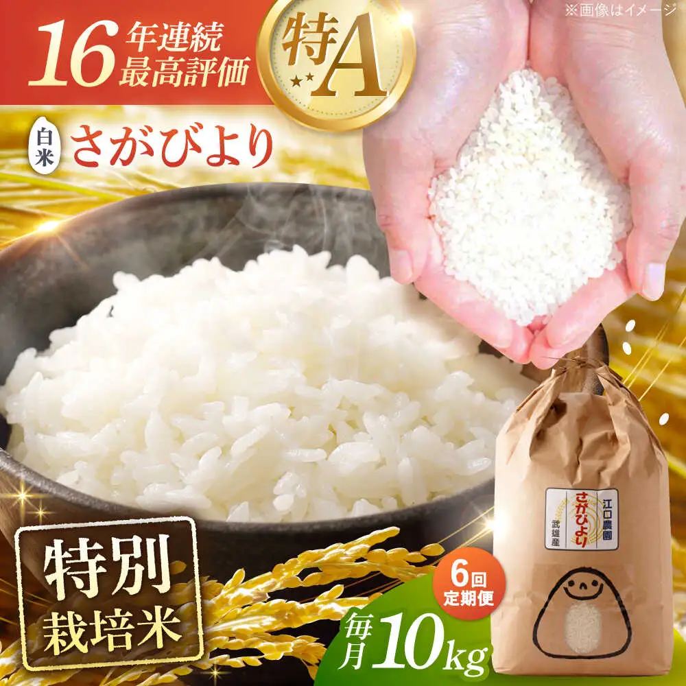 【6回定期便】特別栽培米 さがびより 白米 10kg 配送前精米/江口農園[UBF028]