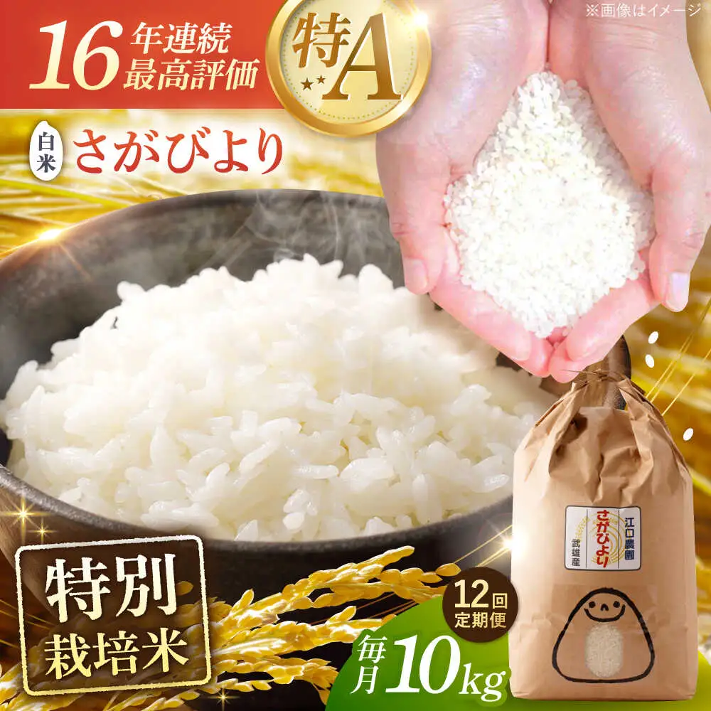【12回定期便】特別栽培米 さがびより 白米 10kg 配送前精米/江口農園[UBF029]