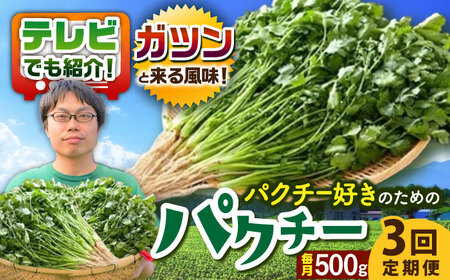 【3回定期便】パクチー好きのためのパクチー 500g /江口農園[UBF030]