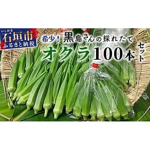 希少！黒島さんの採れたてオクラ100本セット　OI-7