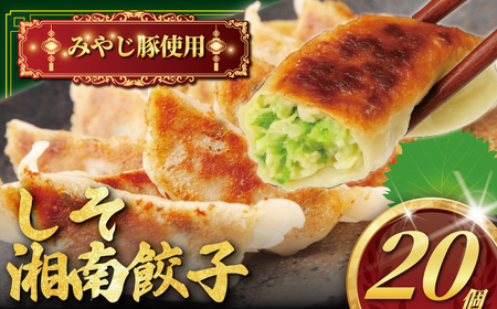 ブランド豚 しそ 餃子 20個 餃子