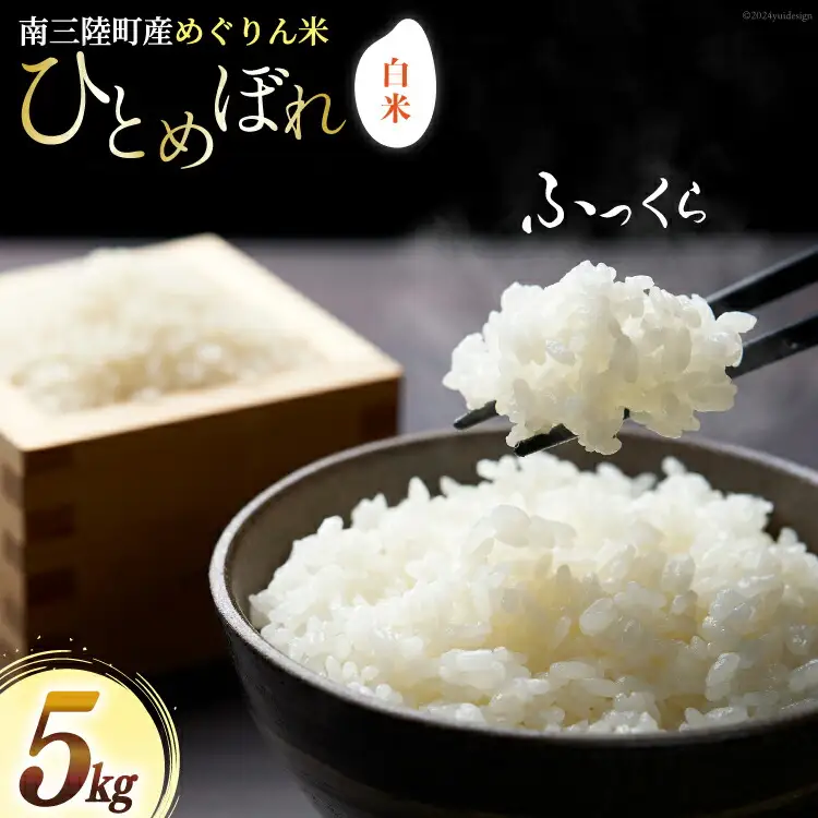 米 南三陸町産 ひとめぼれ めぐりん米 白米 5kg