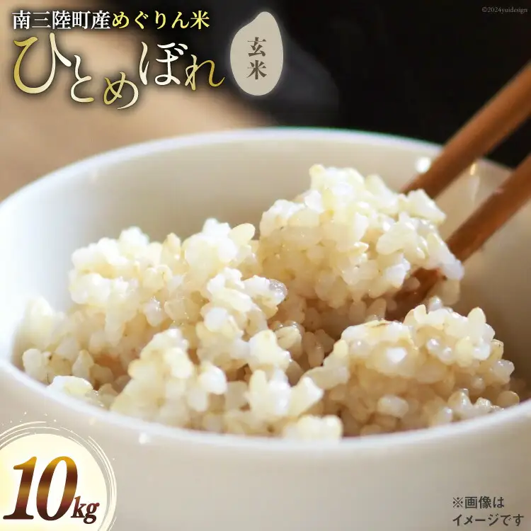 米 南三陸町産 ひとめぼれ めぐりん米 玄米 10kg