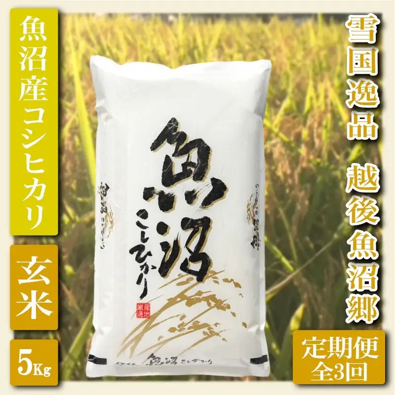 【定期便：雪国逸品 玄米5Kg×3ヶ月】越後魚沼郷 魚沼産コシヒカリ お米 ブランド米 銘柄米 ご飯 おにぎり お弁当 和食 産地直送 香り つや 粘り 