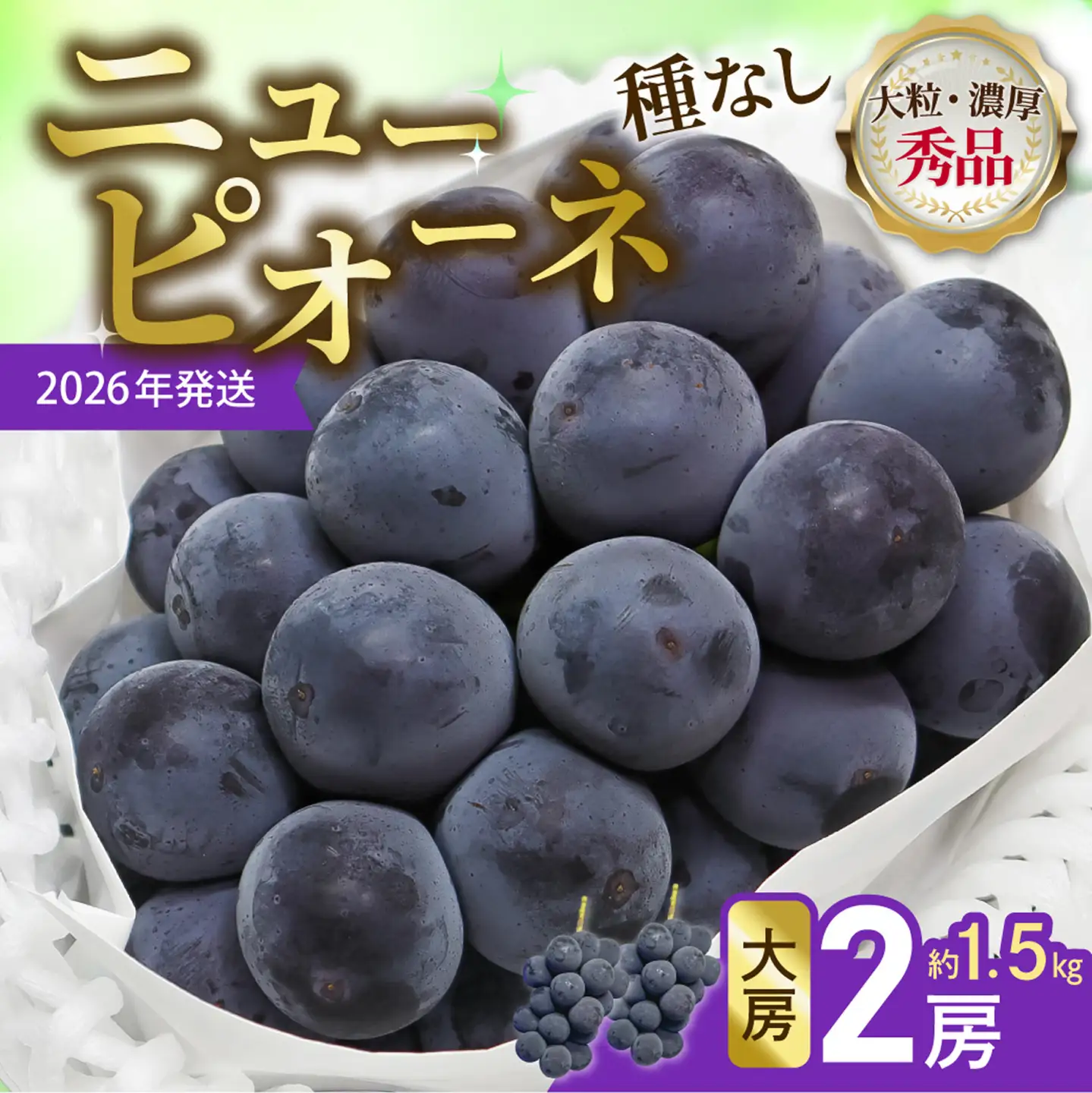 【令和８年発送分】岡山県産 ニューピオーネ 大房2房（令和8年8月から9月頃発送）【ニューピオーネ】