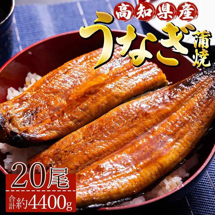 【 蒲焼き 】 うなぎ 20尾 計4400ｇ 鰻 ＜ 高知県 香南市 ＞ 蒲焼き ss-0038