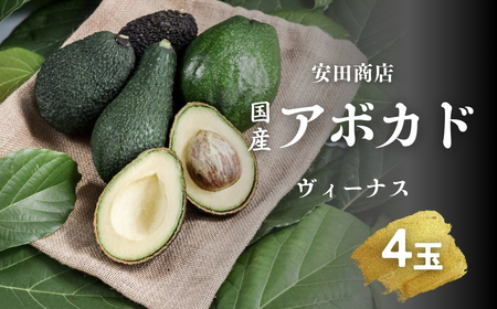 田原アボカド　ヴィーナス 4個入り