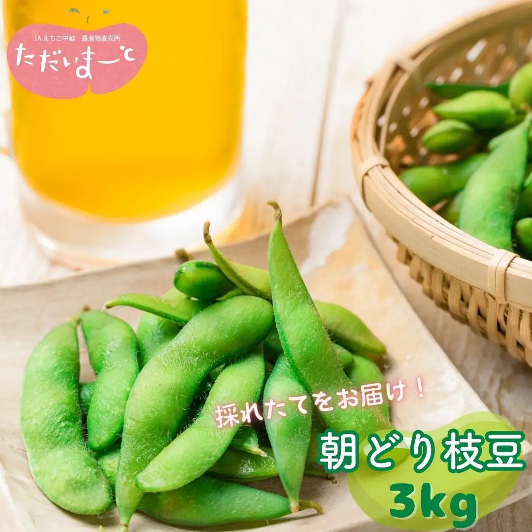 採れたてをお届け！朝どり枝豆 3kg（1kg×3袋）令和8年度 新潟県産 えだまめ JAえちご中越