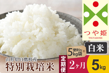 《定期便2ヶ月》【白米】つや姫 5kg×2回（特別栽培米）令和5年産 山形県産 しらたかのお米