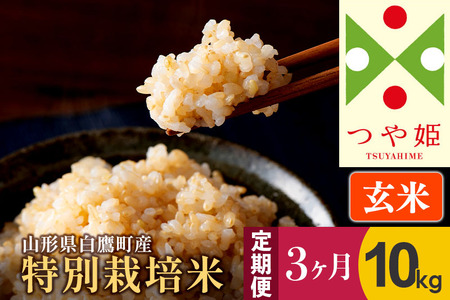 《定期便3ヶ月》【玄米】つや姫 10kg×3回（特別栽培米）令和5年産 山形県産 しらたかのお米