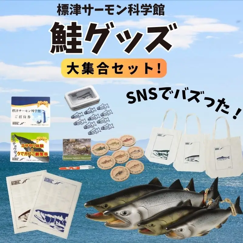 鮭グッズ 大集合セット【AP】 ぐっず