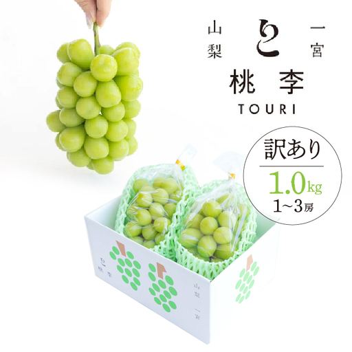 【2026年発送★先行予約】【訳あり】シャインマスカット約1.0kg（1~3房） 122-015-26y ※北海道・沖縄・離島は配送不可