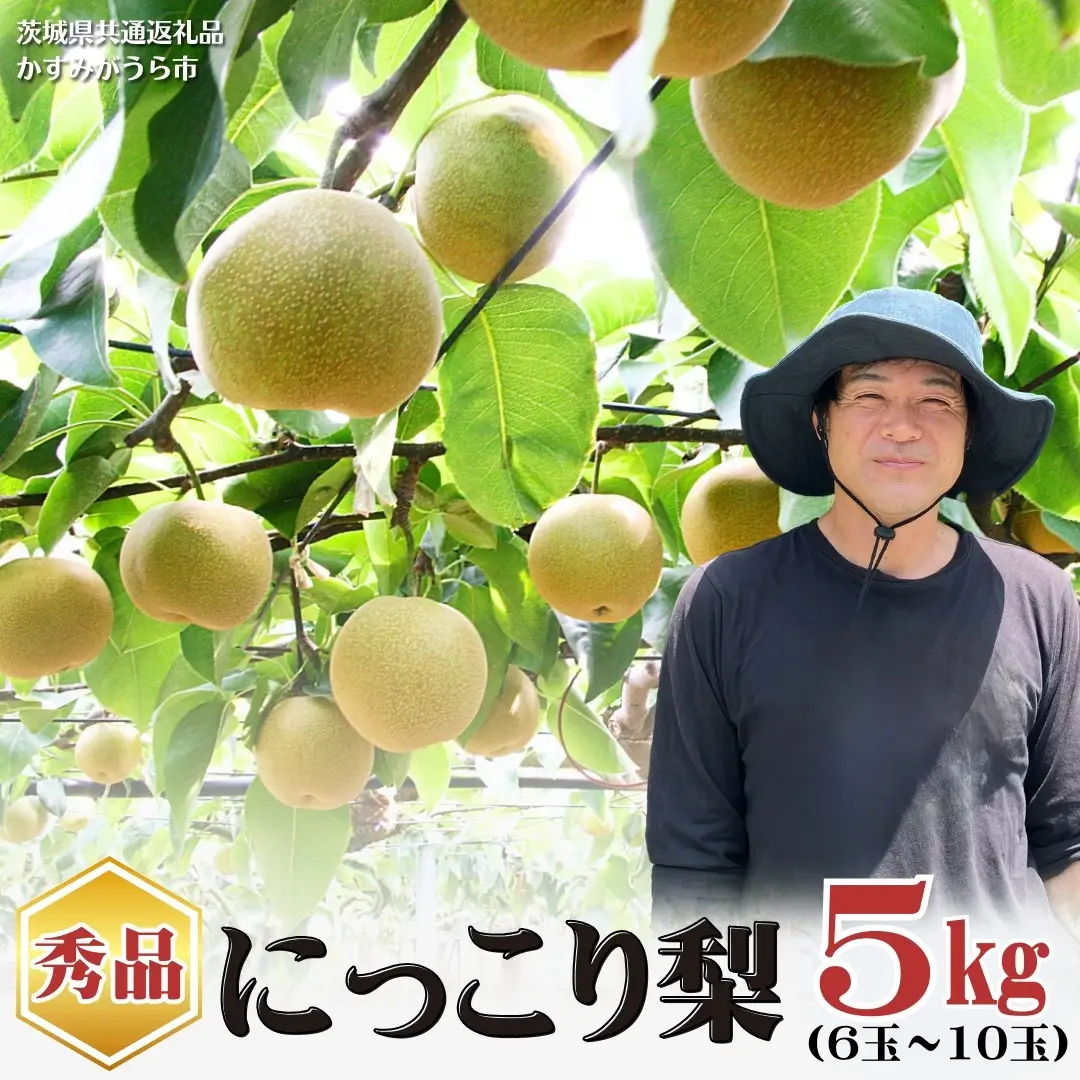 【2026年9月下旬から発送開始】《先行予約》《秀品》 にっこり梨 5kg 6玉 ～ 10玉 茨城県共通返礼品／かすみがうら市 鈴木農園 産地直送 フルーツ 甘い 直送 茨城 限定 にっこり [ED001sa]