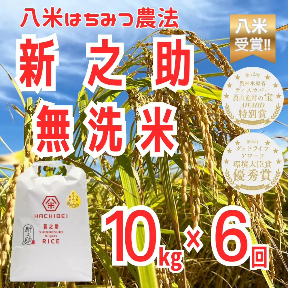 【令和8年産新米予約】【環境大臣賞受賞】【特別賞受賞】 6ヶ月定期便 無洗米 新之助 10kg×6回 計60kg 農家直送 ほんのり甘い「はちみつ農法」 白米 精米 HACHIBEI 八米 新潟県 米 こめ コメ 新米 新米予約 令和8年度産 10月中旬より順次発送予定 1L26173