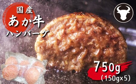 旨味 凝縮 あか牛 100％ ハンバーグ 750g （ 150g × 5個 ） | 肉 お肉 にく おにく ハンバーグ 加工品 牛 牛肉 あか牛 ハンバーグ 熊本 玉名