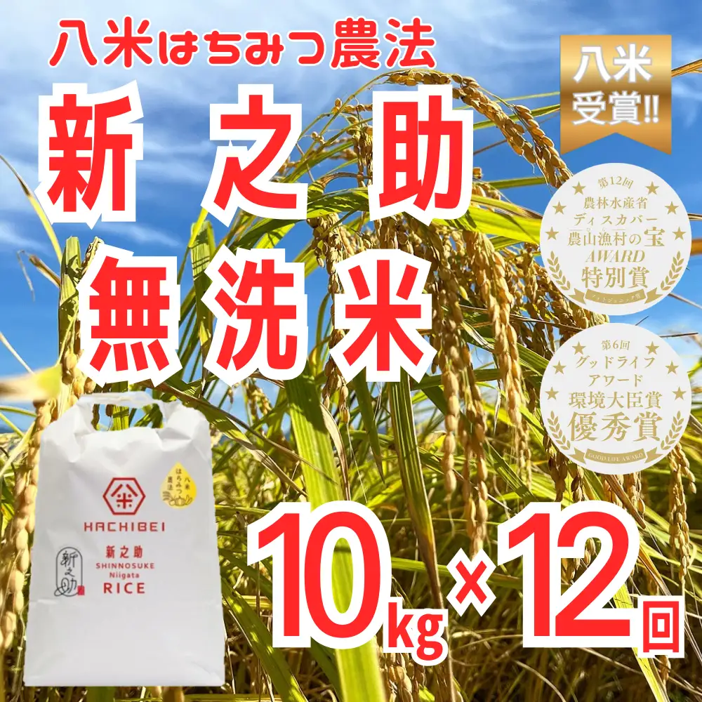 【令和8年産新米予約】【環境大臣賞受賞】【特別賞受賞】12ヶ月定期便 無洗米 新之助 10kg×12回 計120kg 農家直送 ほんのり甘い「はちみつ農法」 白米 精米 HACHIBEI 八米 新潟県 米 こめ コメ 新米 新米予約 令和8年産 10月中旬より順次発送予定 1L28346