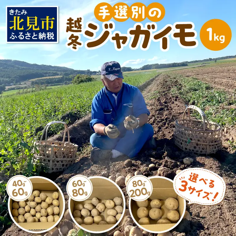 【予約：2027年2月上旬から順次発送】【選べる3サイズ】宇野さんの手拾い、手選別の越冬ジャガイモ 1kg ( 芋 野菜 選べる )【167-0001-2027】