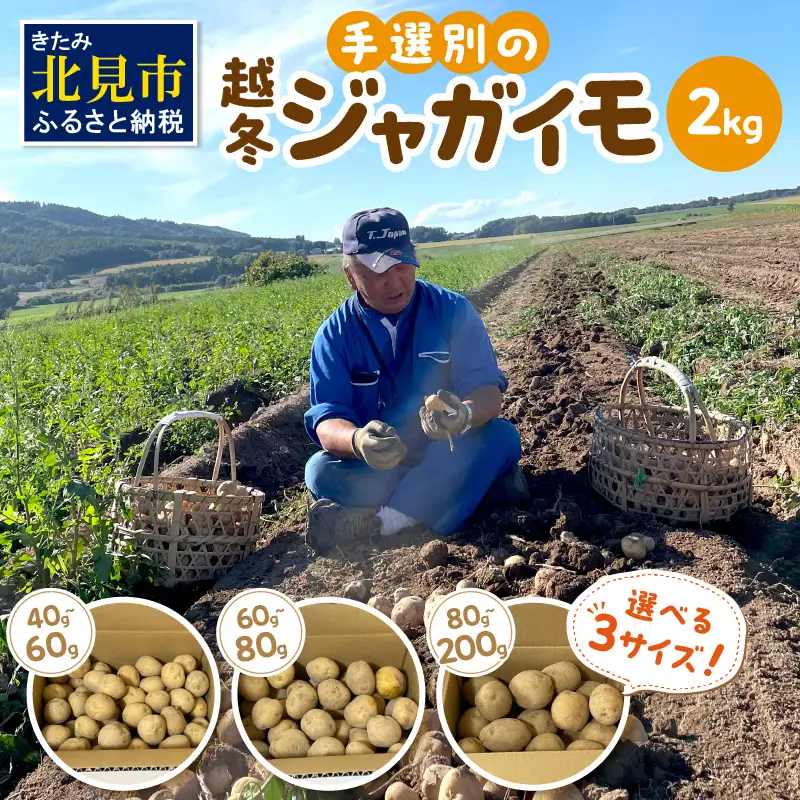 【予約：2027年2月上旬から順次発送】【選べる3サイズ】宇野さんの手拾い、手選別の越冬ジャガイモ 2kg ( 芋 野菜 選べる )【167-0002-2027】