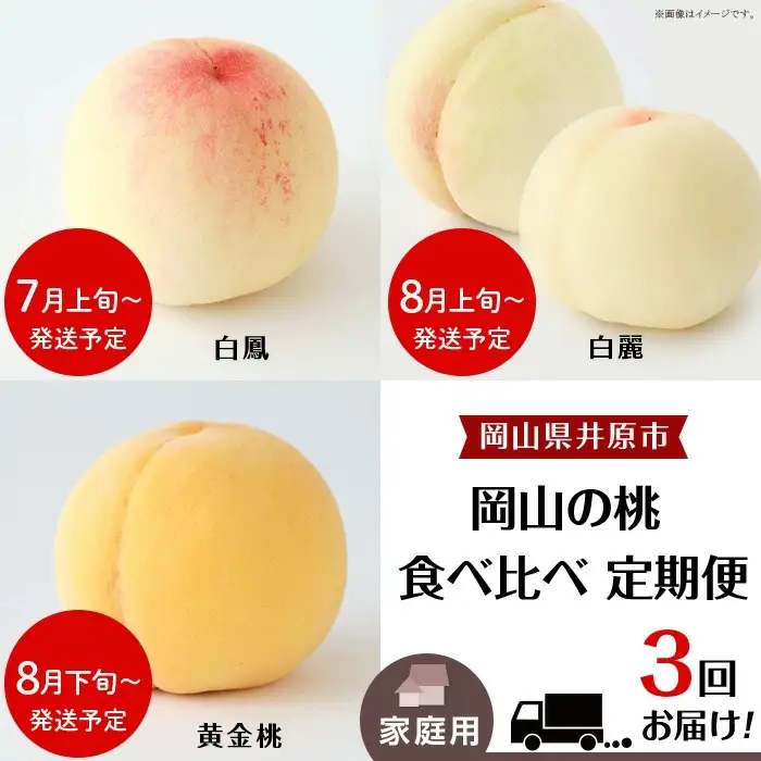 岡山の桃 食べ比べ定期便（年3回）【2027年産】