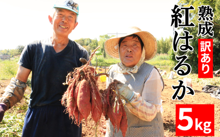 訳あり 熟成 紅はるか 5kg M-2Lサイズ 低温熟成 甘い おやつ おかず 国産 愛媛県 愛南町青果市場 発送:2024年12月下旬～(なくなり次第終了)