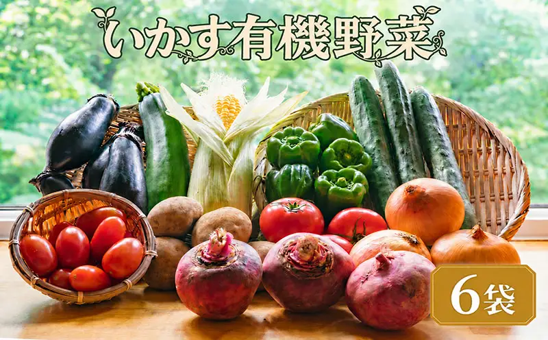 野菜 いかす有機野菜 6袋 野菜
