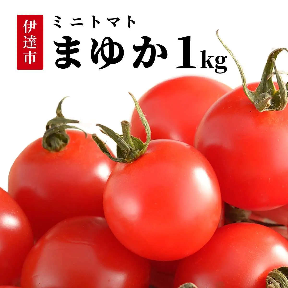 ＜先行予約＞北海道伊達産 ミニトマト まゆか 1kg【55250941】