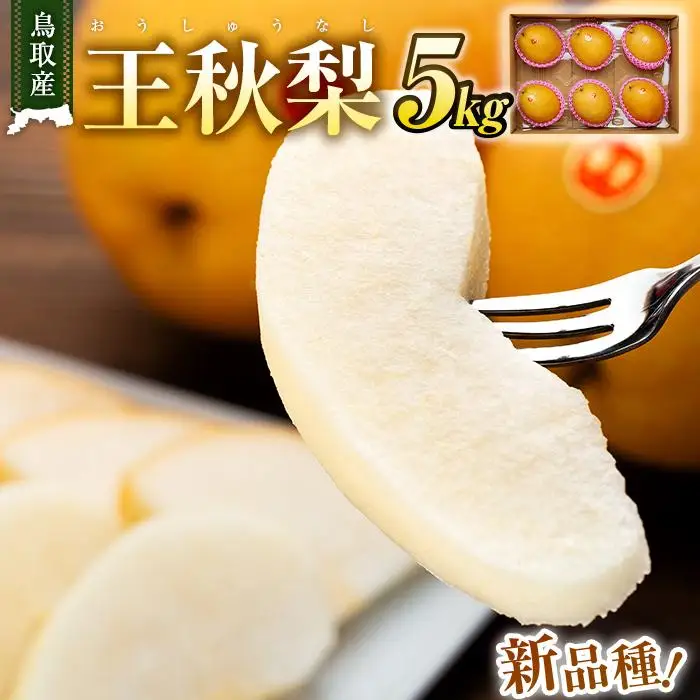 梨 王秋梨 鳥取産 5kg ( 5kg × 1箱 )